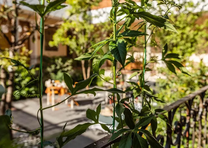 Casa Tuna Hotel